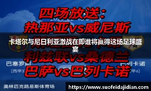 卡塔尔与尼日利亚激战在即谁将赢得这场足球盛宴